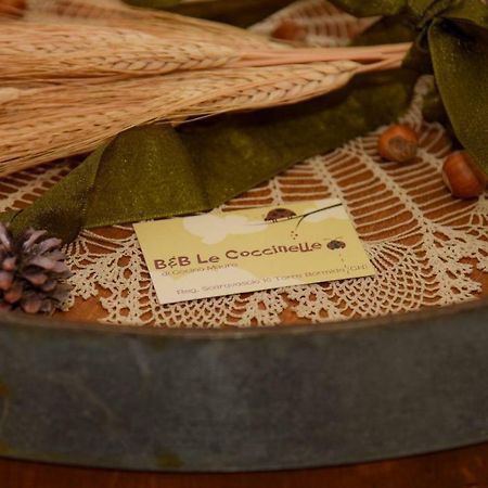 B&B Le Coccinelle Torre Bormida Εξωτερικό φωτογραφία