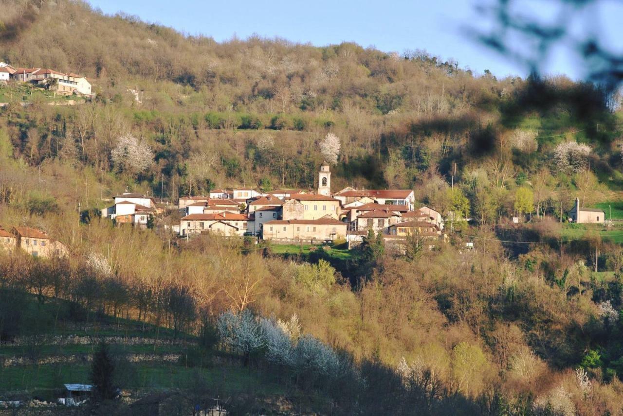 B&B Le Coccinelle Torre Bormida Εξωτερικό φωτογραφία