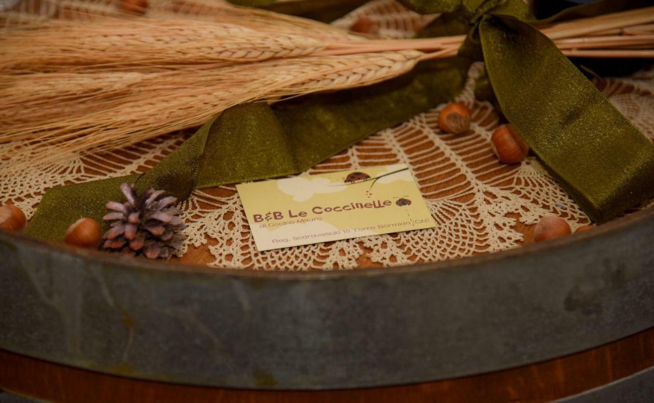 B&B Le Coccinelle Torre Bormida Εξωτερικό φωτογραφία
